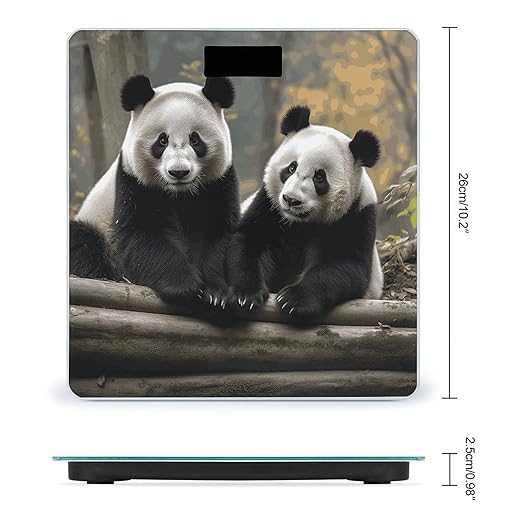 Two Big Pandas Bathroom Scale Automatic Power On/Off Body Scales LCD Backlight Display Square Digital Scale Rounded Corners Bathroom Scales for Home Bedrooms