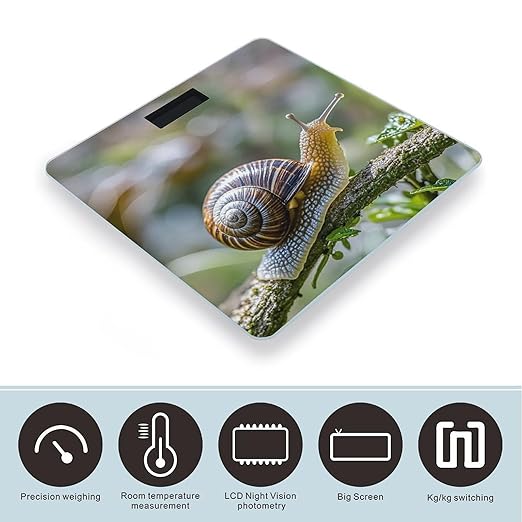 A Photo of A Snail Scale for Body Weight Sturdy Tempered Glass Weighing Scales with LCD Display Accurate Digital Bathroom Scale Convenient Body Fat Smart Scales Easy Read
