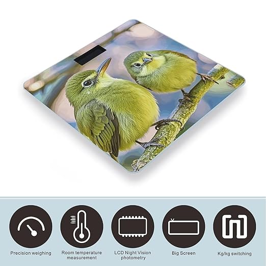 Cute Kiwi Birds Weight Scale Large Digital Bathroom Scales with Bright LED Display Non Slip Digital Scale and Step On Fashion Weighing Machine for Body