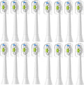 Replacement Toothbrush Heads Compatible for and Other Snap-On Handles(16pcs White)
