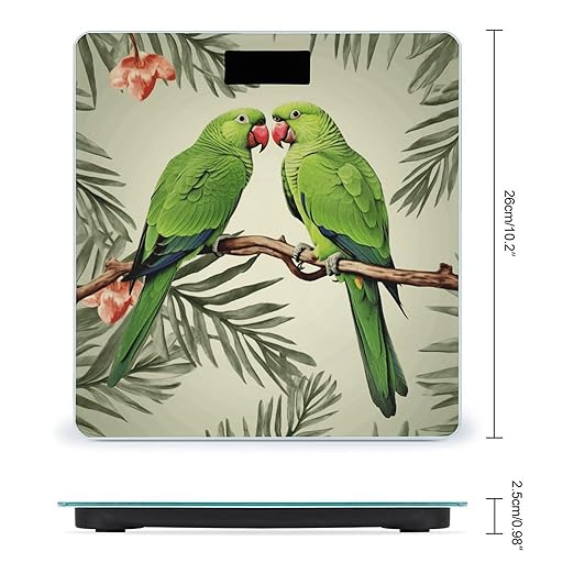Couple Parrots Olive Bathroom Scale Automatic Power On/Off Body Scales LCD Backlight Display Square Digital Scale Rounded Corners Bathroom Scales for Home Bedrooms