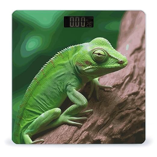 Green Lizard Smart Scale for Body Weight Accurate Bathroom Scale with LED Display Digital Weight Scales Weighing Machine High Precision Scales for Bath Home