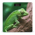 Green Lizard Smart Scale for Body Weight Accurate Bathroom Scale with LED Display Digital Weight Scales Weighing Machine High Precision Scales for Bath Home
