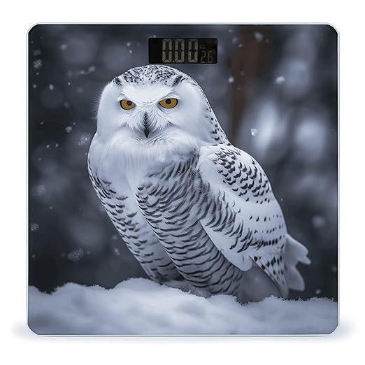 Arctic Owl Bathroom Scale Large LCD Backlight Display Digital Scale Rounded Corners Body Scales Automatic Power On/Off Bathroom Scales for Home Bedrooms