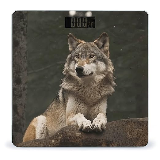 Gray Wolf Smart Scale for Body Weight Accurate Bathroom Scale with LED Display Digital Weight Scales Weighing Machine High Precision Scales for Bath Home