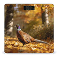 Faisan D'automne Smart Scale for Body Weight Digital Bathroom Scale Toughened Glass Weight Scale with Large LCD Backlight Display High Precision Scales Weighing Machine