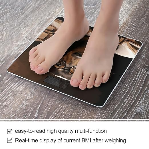 Dachshund Book Bathroom Scale Automatic Power On/Off Body Scales LCD Backlight Display Square Digital Scale Rounded Corners Bathroom Scales for Home Bedrooms