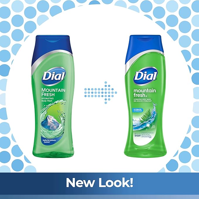 Dial Body Wash Mountain Fresh 16 Fl Oz (Pack of 6)