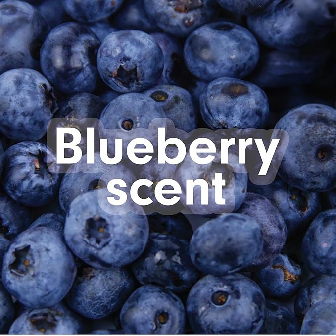 Softsoap Moisturizing Body Wash Limited Edition Summer Scents Blueberry and Watermelon 12 oz 2 Pack