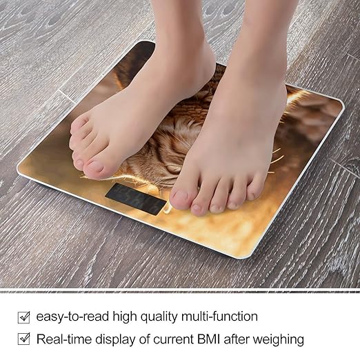 Cat Basking in The Sun Scale for Body Weight Anti-Slip Tempered Glass Digital Bathroom Scales Clear LCD Display Weighing Scale Safe Rounded Corners Smart Scales