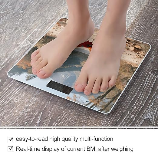 Golden Pheasant Scale for Body Weight Sturdy Tempered Glass Weighing Scales with LCD Display Accurate Digital Bathroom Scale Convenient Body Fat Smart Scales Easy Read