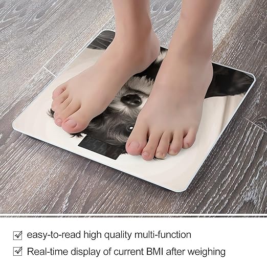 Cute Schnauzer Bathroom Scale for Body Weight Bathroom Digital Electronic Weighing Scale with Back Lit LED Display Sturdy Tempered Glass Weight Watchers Scales 400lb