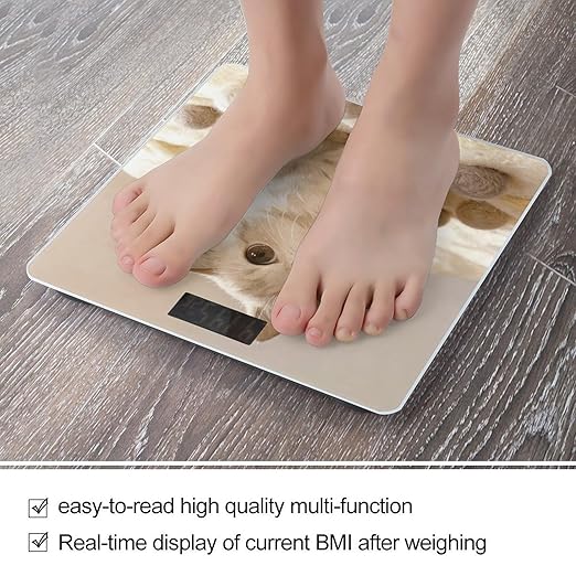 Cute Cat Weight ScaleClear LED Display Bathroom Digital Weighing ScaleTempered Glass Digital Bathroom Scale for Body Weight Capacity Up to 400 Lbs