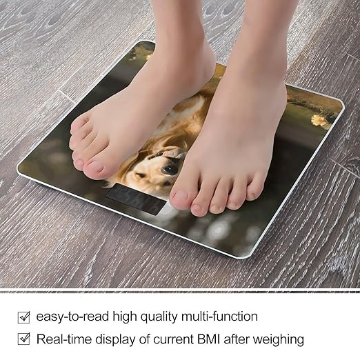 Golden Retriever Dog Scale for Body Weight Highly Accurate Digital Bathroom Scale Sturdy Tempered Glass Weighing Scales with LCD Display Fashion Body Fat Smart Scales 400lb