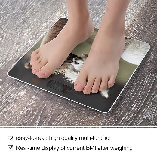 Funny Alpaca Bathroom Scale for Body Weight Bathroom Weighing Scale with Backlit LCD Display Highly Accurate Measures Weight Up to 180kg