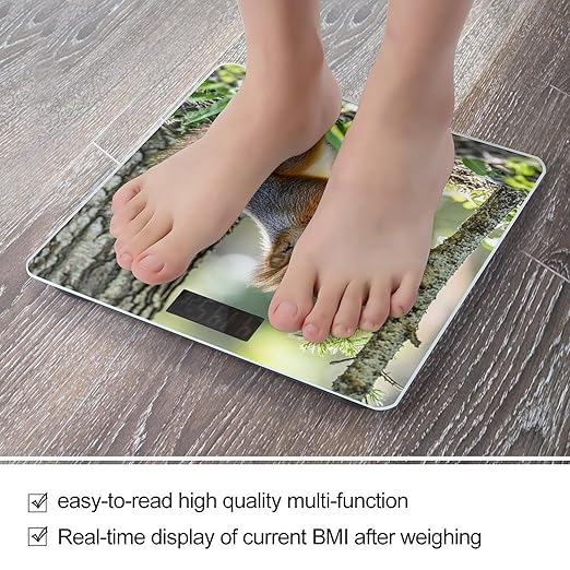 Squirrel in The Woods Scale for Body Weight Smart Scales Digital Bathroom Scale High Precision Weighing Scales with Large Display Weighing Machine for People