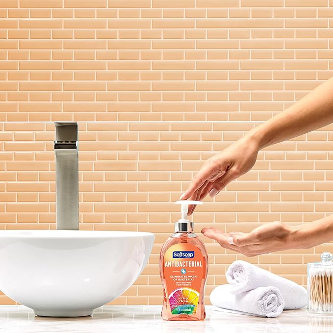 Softsoap Body Wash Pomegranate &amp Mango Spritz Body Wash 20 Fl Oz (Pack of 4) &amp Antibacterial Liquid Hand Soap Crisp Clean Scent Hand Soap 11.25 Ounce 6 Pack