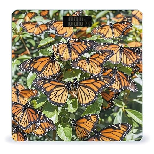 Heaps of Orange Monarch Butterflies Scale for Body Weight Accurate Digital Bathroom Scale Toughened Glass High Precision Scales Smart Weight Scales with Large LCD Backlight Display Weighing Machine