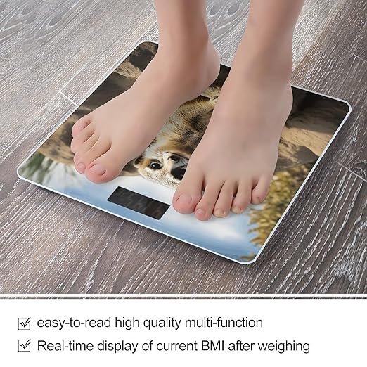 Meerkat Animal Scale for Body Weight Accurate Digital Bathroom Scale Toughened Glass High Precision Scales Smart Weight Scales with Large LCD Backlight Display Weighing Machine