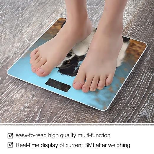 Border Collie Scale for Body Weight Safe Rounded Corners Tempered Glass Digital Bathroom Scale LED Display 400lb Capacity Weight Scales with High Precision Sensors