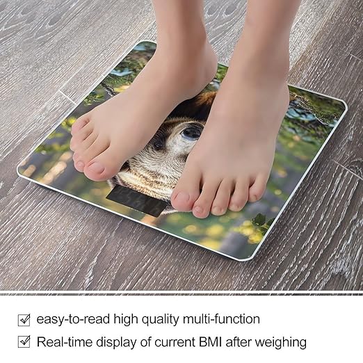 Bear Bathroom Scale for Body Weight Bathroom Weighing Scales with Back Lit LED Display Sturdy Tempered Glass Body Weight Bathroom Scale 400lb Weighing