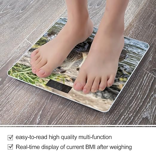 Cute Brown Otters Scale for Body Weight Highly Accurate Digital Bathroom Body Scale Digital Bathroom Scales for People Anti-Slip Large LCD Display Smart Scales