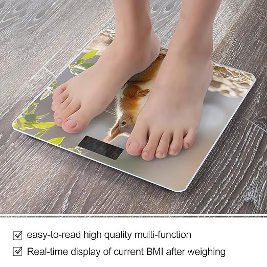 Squirrel Funny Animal Bathroom Scale for Body Weight with High Precision Large LCD Backlight Display Digital Weighing Scale with BMI Capacity Up to 180kg