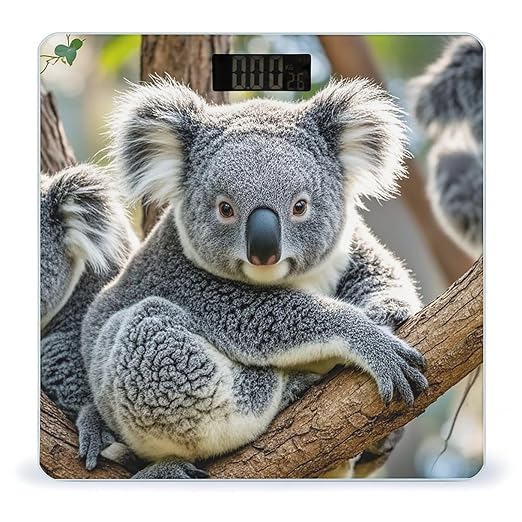 Lovely Koala Scale for Body Weight Accurate Digital Bathroom Scale Toughened Glass High Precision Scales Smart Weight Scales with Large LCD Backlight Display Weighing Machine