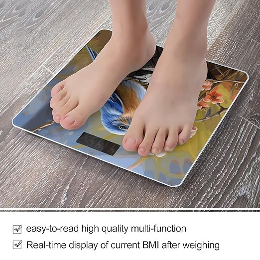 Eastern Bluebird Bathroom Scale Automatic Power On/Off Body Scales LCD Backlight Display Square Digital Scale Rounded Corners Bathroom Scales for Home Bedrooms