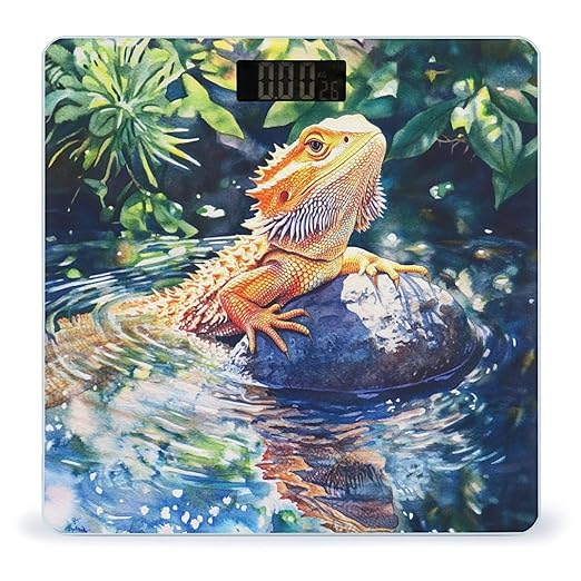 Bearded Dragon on Rock Digital Bathroom Scale for Body Weight Lighted LCD Display Round Corner