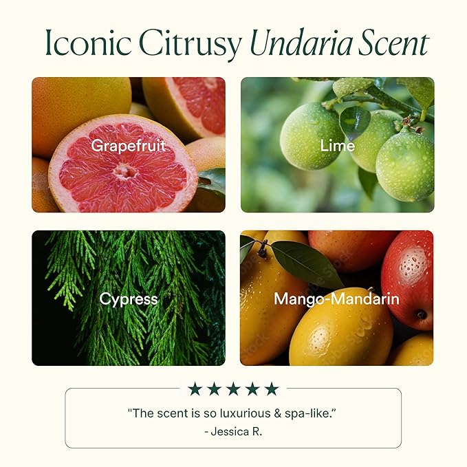 OSEA Undaria Algae™ Body Wash - pH Balanced - Hydrating &amp Moisturizing Citrus Scented Cleanser - Clean Vegan Non-Toxic Skincare - 8oz