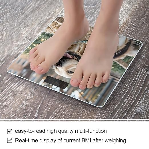 Golden Retriever Dog Scale for Body Weight Accurate Digital Bathroom Scale Toughened Glass High Precision Scales Smart Weight Scales with Large LCD Backlight Display Weighing Machine