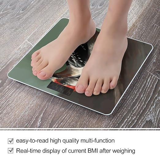 Digital Bathroom Scale for Body Weight Scale with Bright LCD Display High Accuracy Step-On Technology Auto On/Off Woodpecker Digital Scales 400 Lbs /180kg