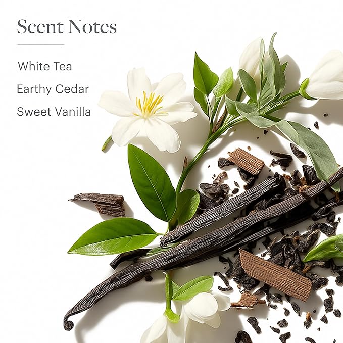 Westin White Tea Aloe Body Wash &amp Body Lotion Set - Nourishing &amp Hydrating - Hotel Spa Collection - Exclusive White Tea Scent - 8oz Bottles