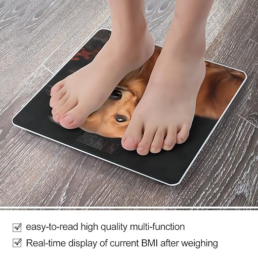 Long Haired DachshundScale for Body Weight with LCD High Precision Weighing Scales Fashion Sturdy Tempered Glass Weight Scales Easy-to-Read Digital Bathroom Scale for Daily 400lb
