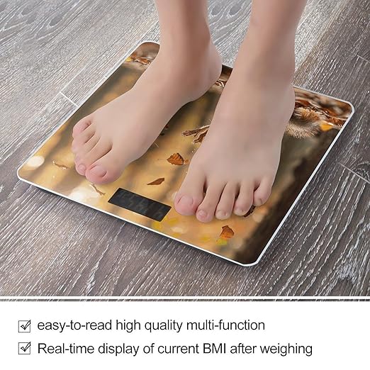 Squirrel and Leaves Bathroom Scale Ultra-Bright Liquid Crystal Screen Weight Scale Accurate Bathroom Body Scales for Body Weight Bathroom Pet Home Bedroom Gift-Giving