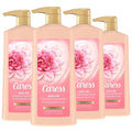 Caress Hydrating Body Wash with Pump Shower Gel For Soft Silky Skin Daily Moisture Body Wash With Silk Extract &amp Floral Oil Essence 25.4 Fl Oz (Pack of 4)