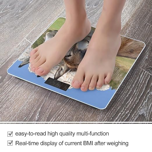 Funny Donkeys Scale for Body Weight Anti-Slip Sturdy Tempered Glass Weighing Machine Highly Digital Accurate Bright LCD Bathroom Scale for Household Gift