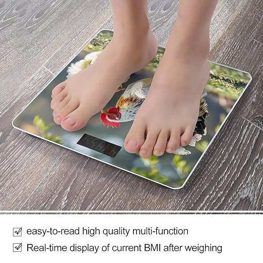 Chicken on The Grass Smart Scale for Body Weight Accurate Bathroom Scale with LED Display Digital Weight Scales Weighing Machine High Precision Scales for Bath Home