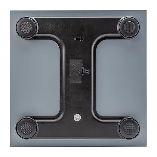 Talking Scales - Clear Loud North American Voice Big Numbers Stylish Look (Stainless)
