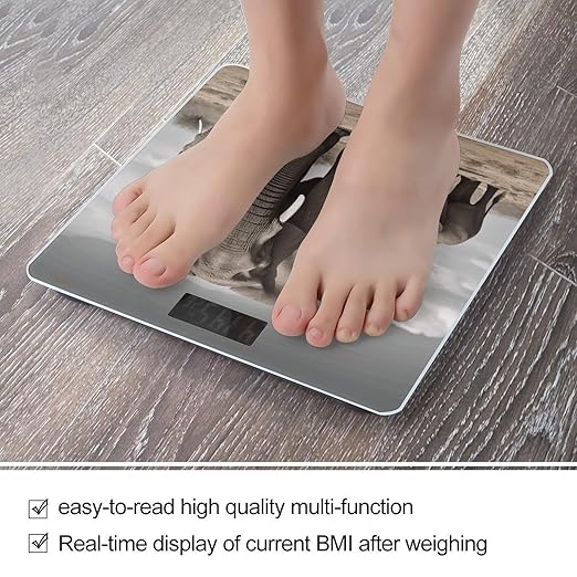 Digital Bathroom Scale for Body Weight Scale with Bright LCD Display High Accuracy Step-On Technology Auto On/Off African Elephant Digital Scales 400 Lbs /180kg