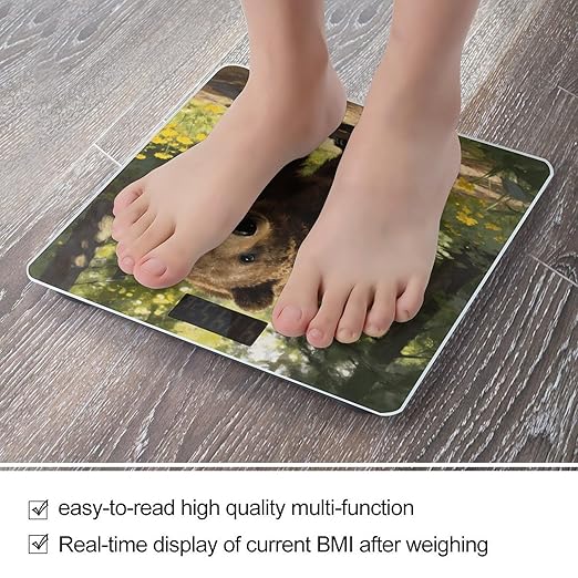 Bear Smart Scale for Body Weight Digital Bathroom Scale Toughened Glass Weight Scale with Large LCD Backlight Display High Precision Scales Weighing Machine