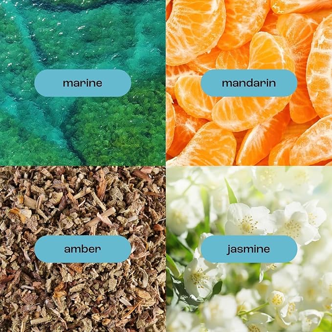 Natural Inspirations Sea Salt Citrus Moisturizing Hand + Face Wash 12oz