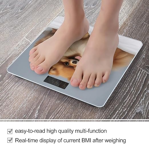 Cute Pomeranian Bathroom Scale Large LCD Backlight Display Digital Scale Rounded Corners Body Scales Automatic Power On/Off Bathroom Scales for Home Bedrooms