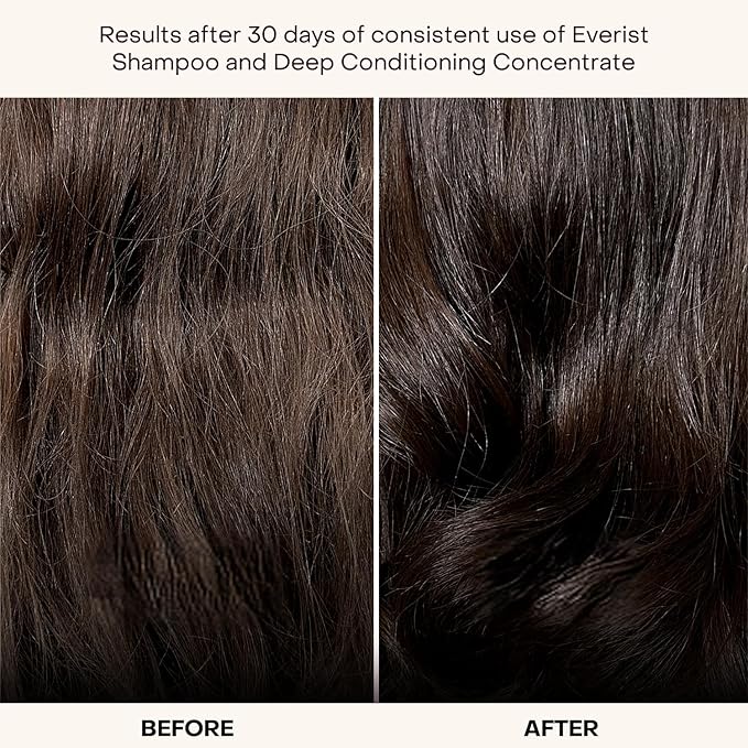 Everist The Complete Shower Kit Strengthens &amp Repairs Hair Deep Hydration &amp Smoothing Shampoo Deep Conditioner &amp Body Wash Concentrates Compostable Konjac Sponge 3.4 fl oz Tins