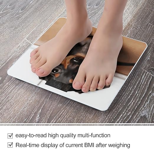 Cute Wiener Sausage Dog Bathroom Scale Automatic Power On/Off Body Scales LCD Backlight Display Square Digital Scale Rounded Corners Bathroom Scales for Home Bedrooms