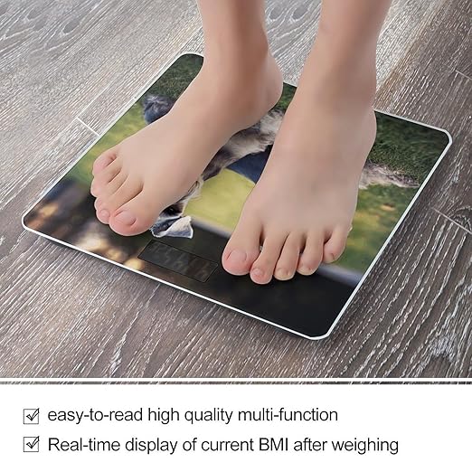 Adult Schnauzer Dogs Bathroom Scale for Body Weight Bathroom Weighing Scale with Backlit LCD Display Highly Accurate Measures Weight Up to 180kg