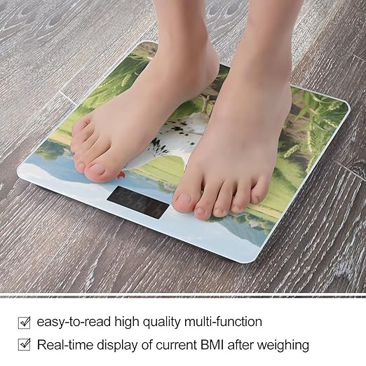 Digital Bathroom Scale for Body Weight Scale with Bright LCD Display High Accuracy Step-On Technology Auto On/Off Chicken Digital Scales 400 Lbs /180kg