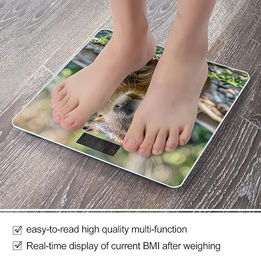 Capybara with Eyes Closed Bathroom Scale for Body Weight Bathroom Weighing Scales with Back Lit LED Display Sturdy Tempered Glass Body Weight Bathroom Scale 400lb Weighing