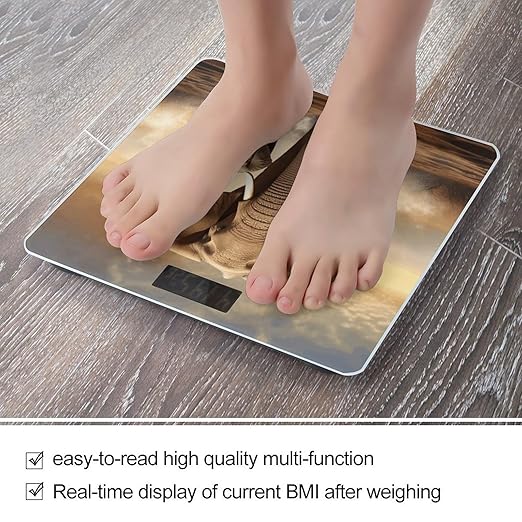 Elephant and Baby Elephant Bathroom Scale Large LCD Backlight Display Digital Scale Rounded Corners Body Scales Automatic Power On/Off Bathroom Scales for Home Bedrooms